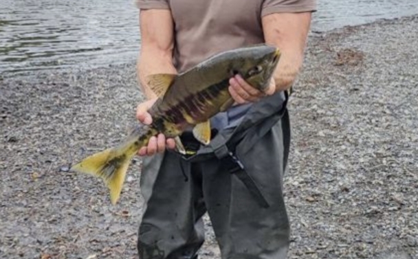 Фото организации