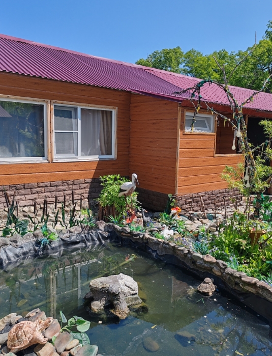 Фото организации