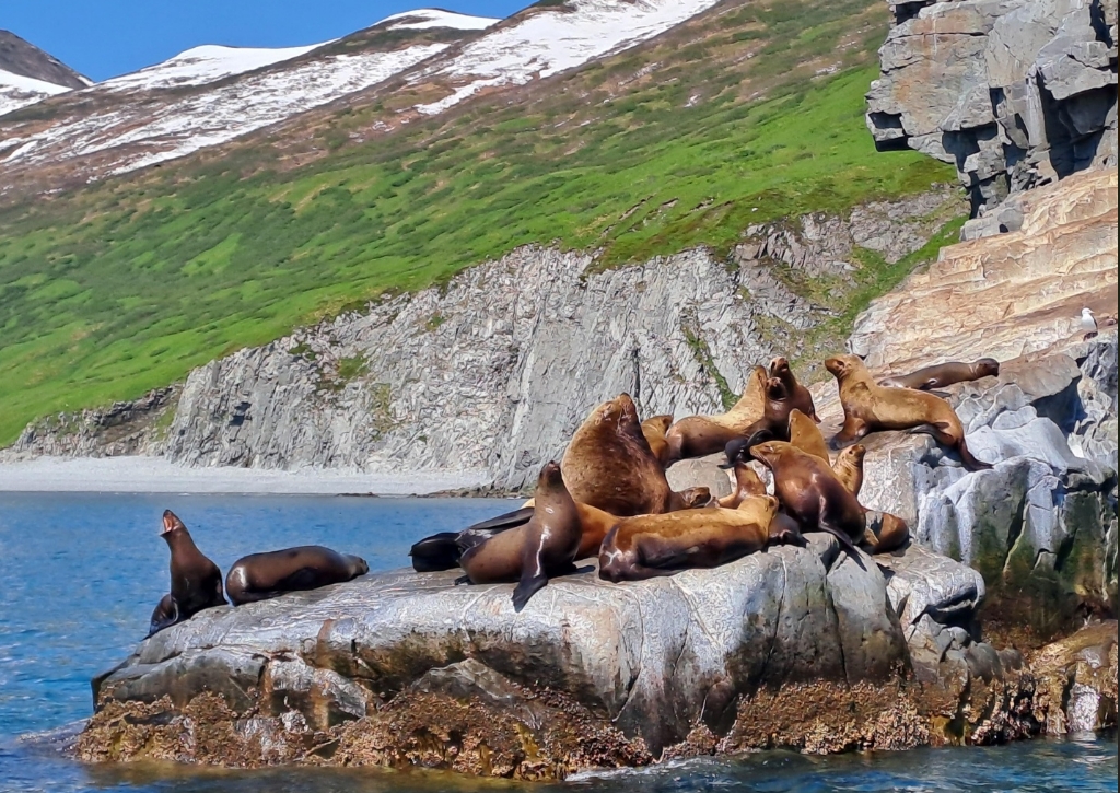 Фото организации