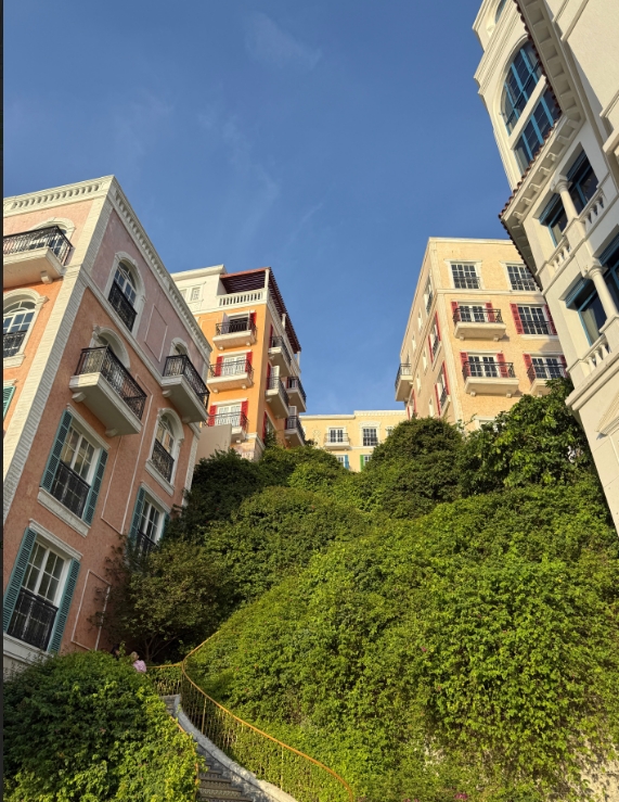 Фото организации