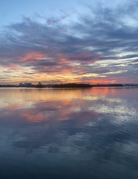Фото организации
