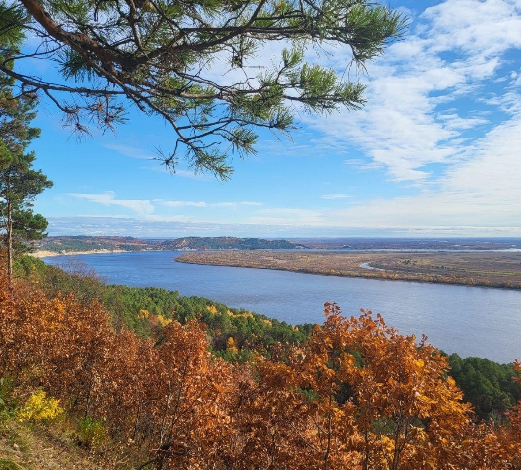 Фото организации