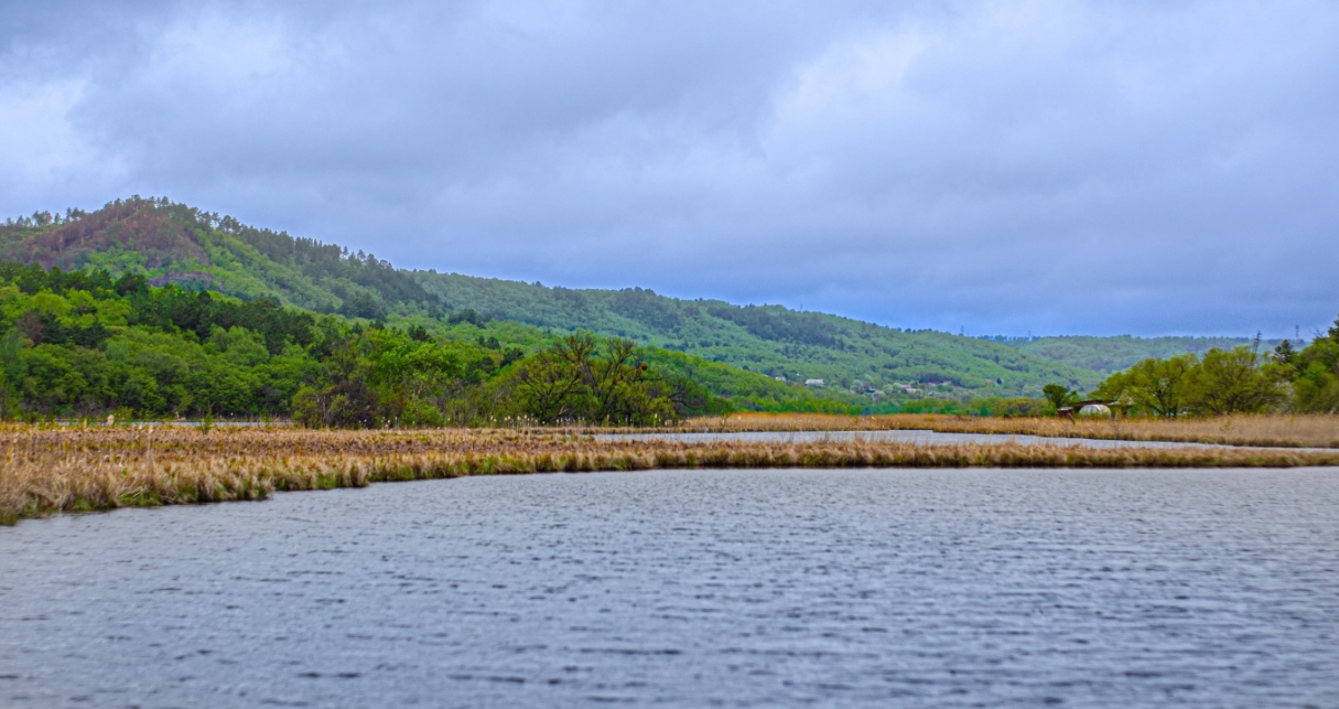 Фото организации