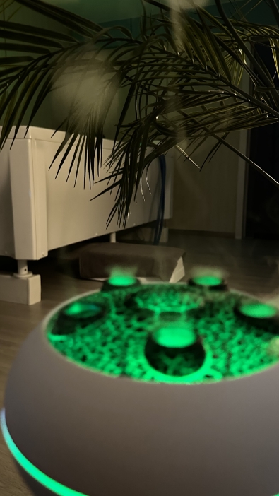 Фото организации