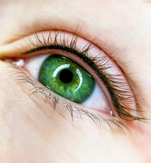 Фото организации