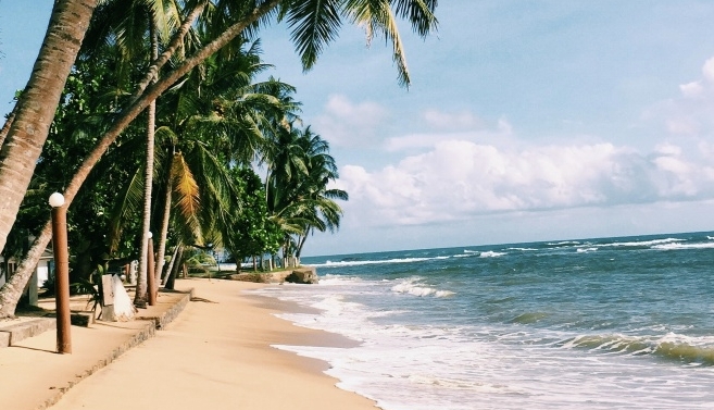 Фото организации