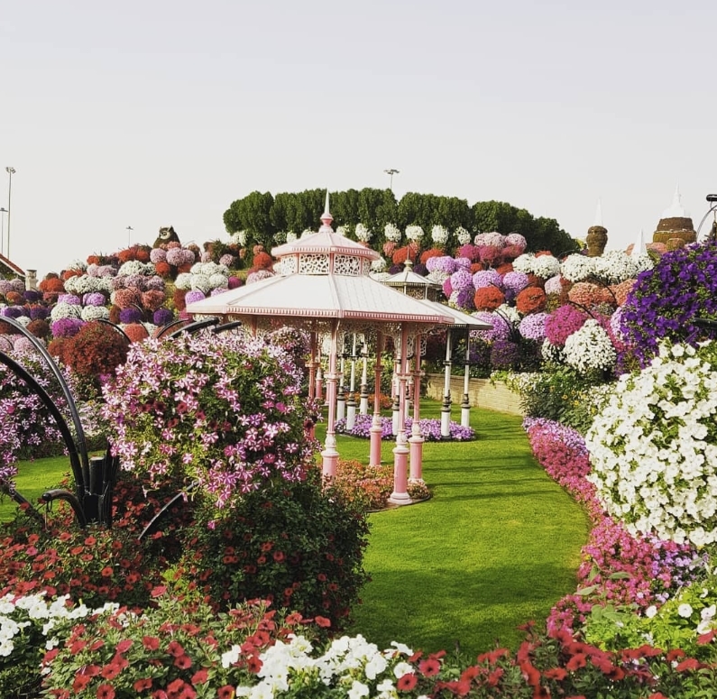 Фото организации