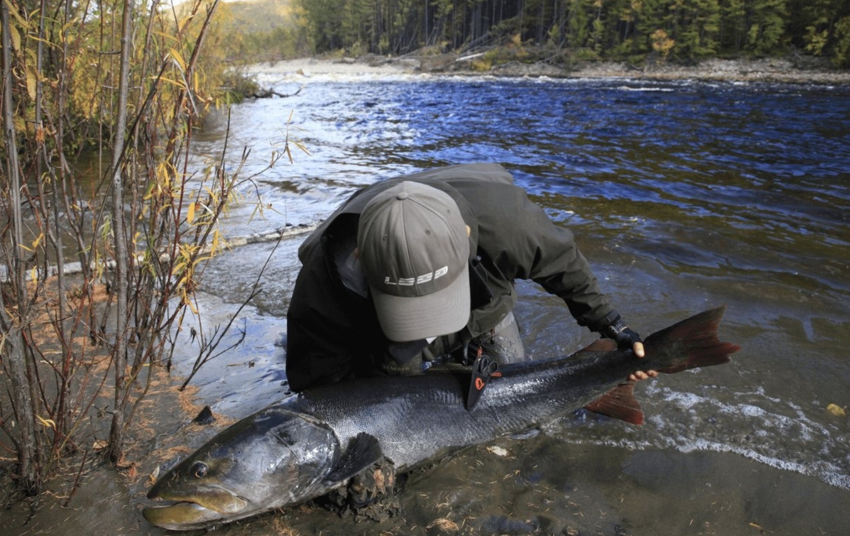 Горизонт-Экстрим: Трофейная рыбалка, сплавы и экспедиции для искателей настоящих ощущений