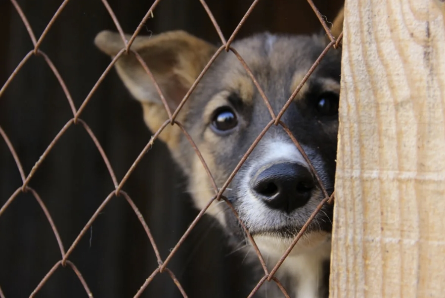 Фото организации