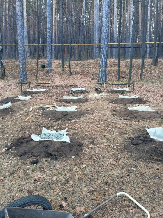 Фото организации