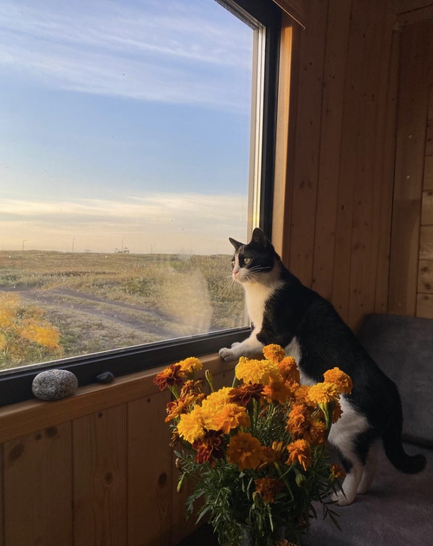 Фото организации