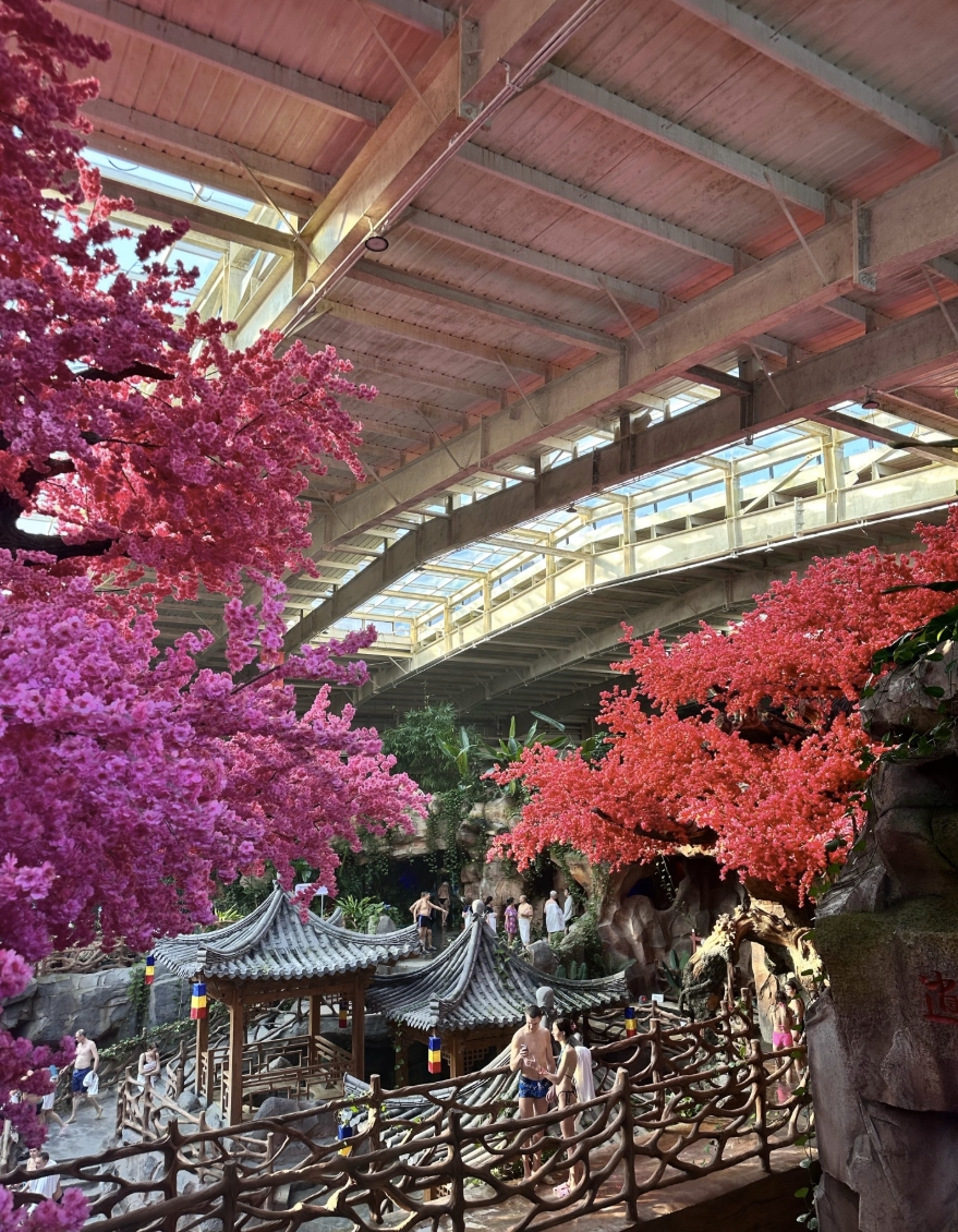 Фото организации