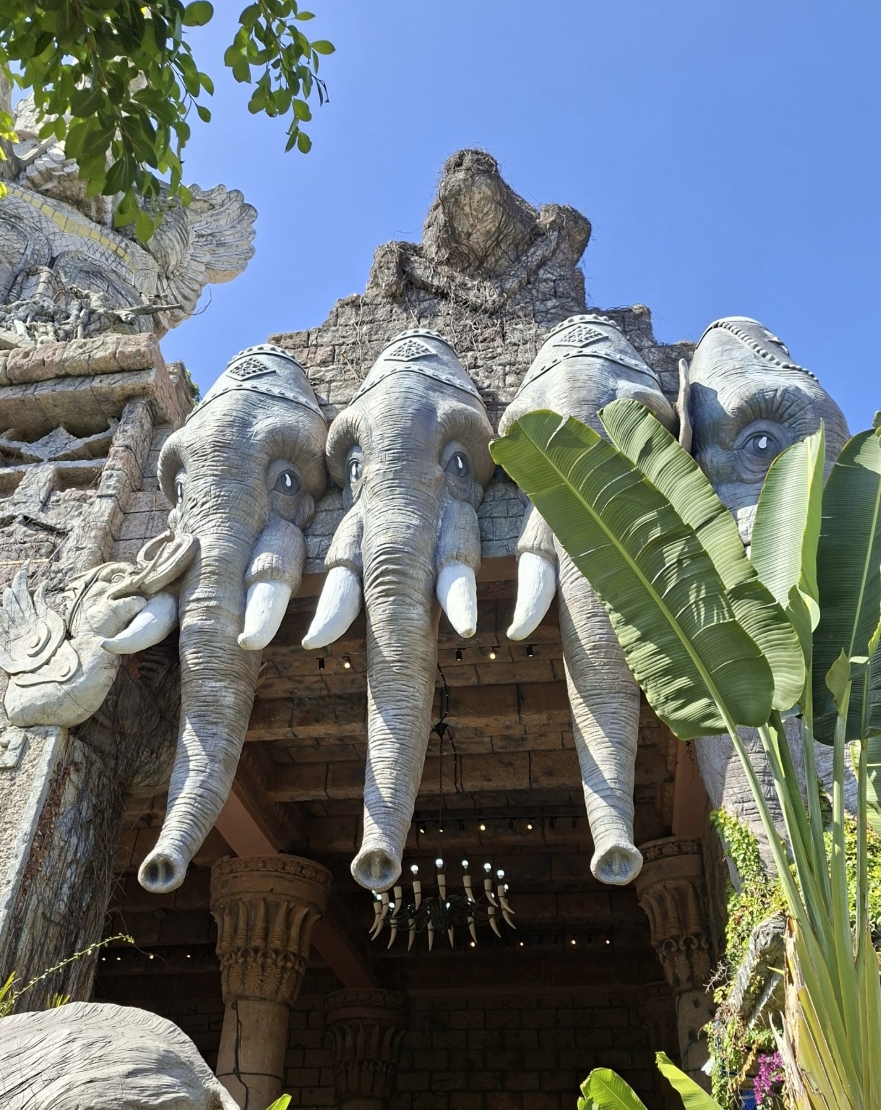 Фото организации