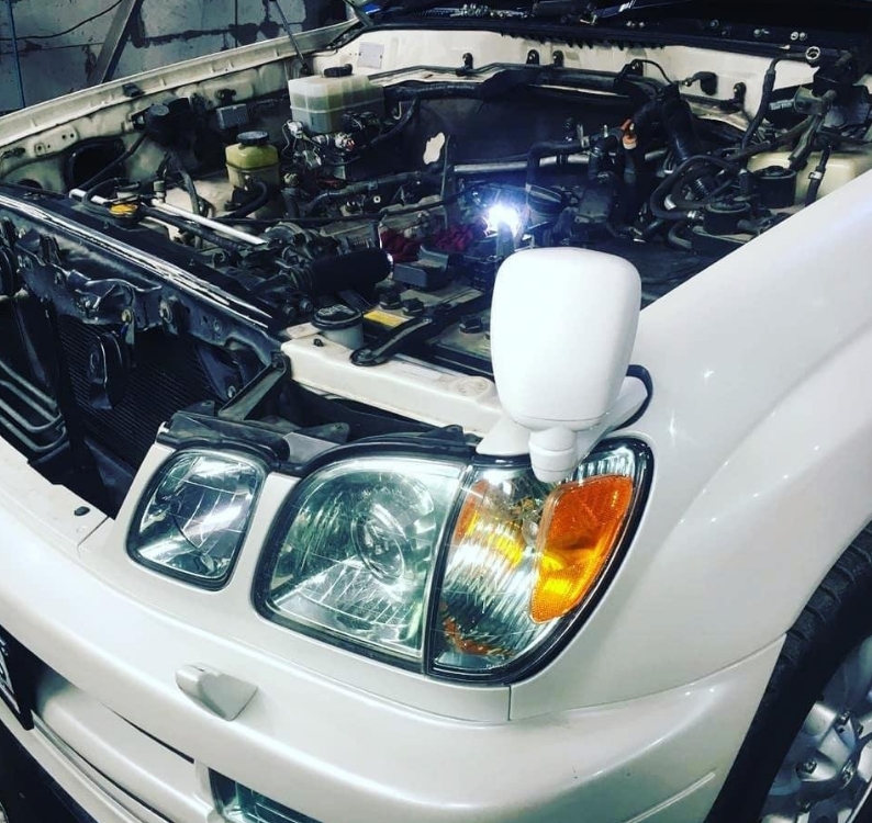 Фото организации