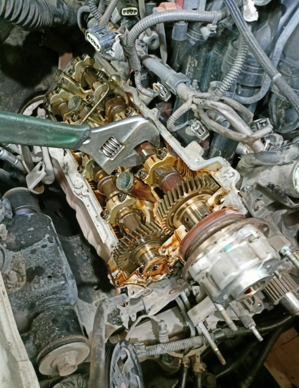 Фото организации