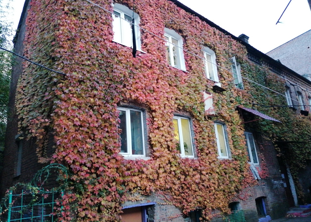 Фото организации